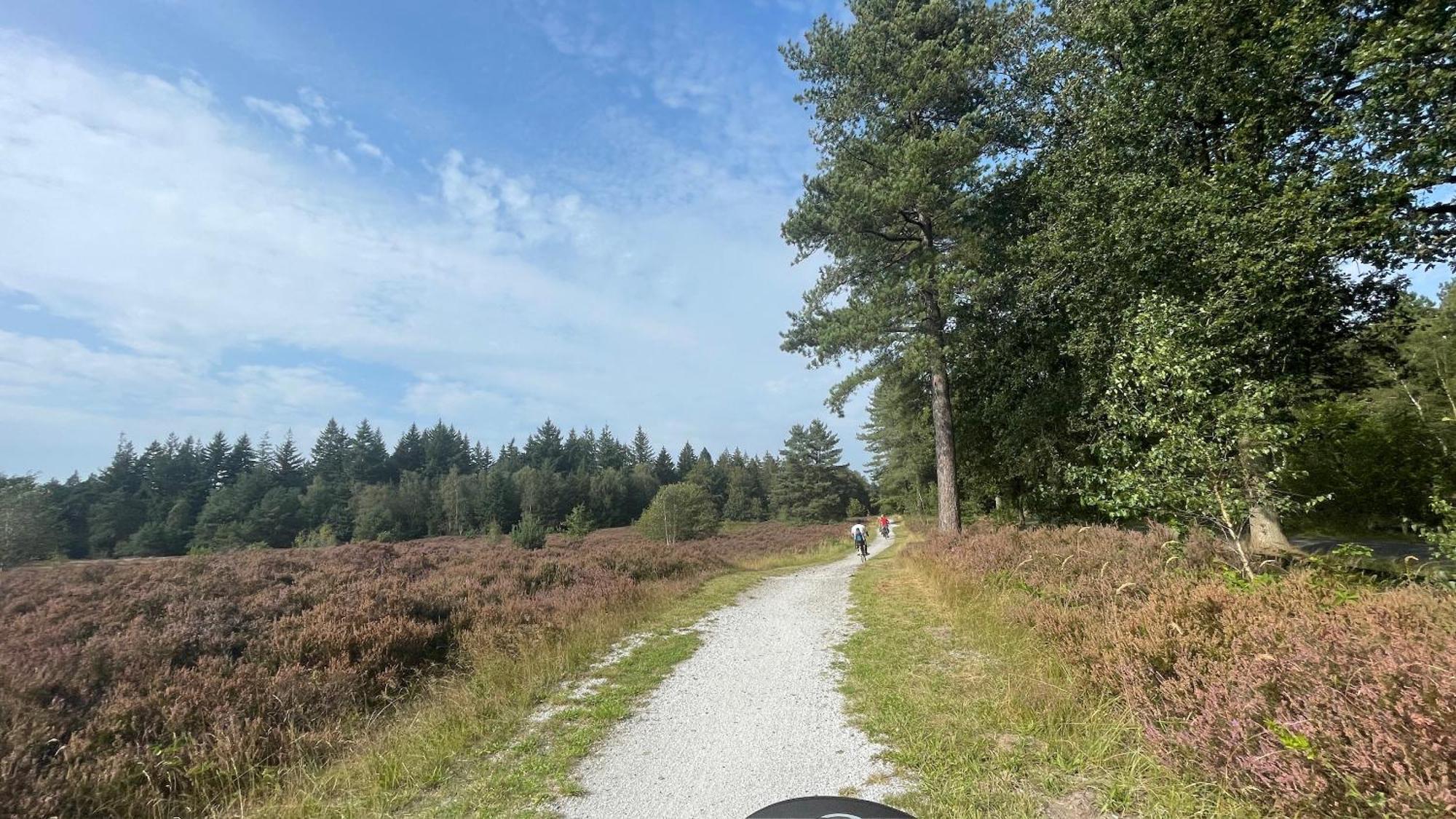 Sayang26 Gezellige Gezinsvriendelijke Stacaravan Op Familiecamping De Vossenburcht In Natuurgebied Reestdal - No Workers Allowed Villa IJhorst Kültér fotó